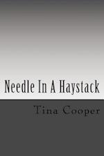 Needle in a Haystack