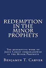 Redemption in the Minor Prophets