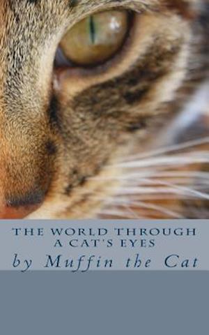 The World Through a Cat's Eyes