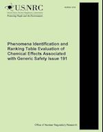 Phenomena Identification and Ranking Table Evaluation of Chemical Effects Associated with Generic Safety Issue 191