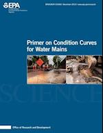 Primer on Condition Curves for Water Mains