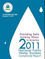 Providing Safe Driving Water in America