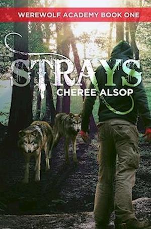 Werewolf Academy Book 1: Strays: Strays