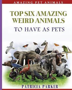 Top Six Amazing Weird Animals
