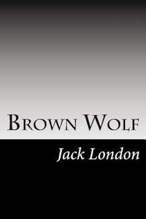 Brown Wolf