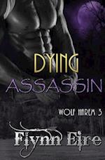 Dying Assassin