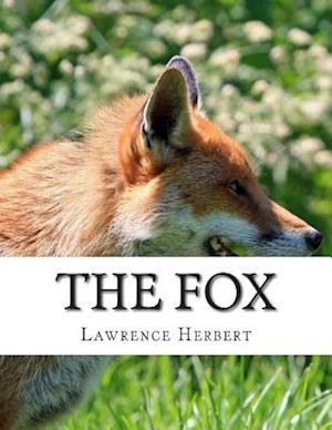 The Fox