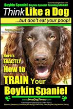 Boykin Spaniel, Boykin Spaniel Training AAA Akc