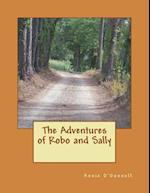 The Adventures of Robo and Sally