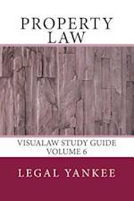 Property Law: Outlines, Diagrams, and Study Aids 