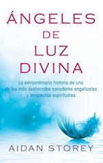 Ángeles de Luz Divina (Angels of Divine Light Spanish edition)