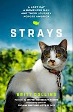 Strays