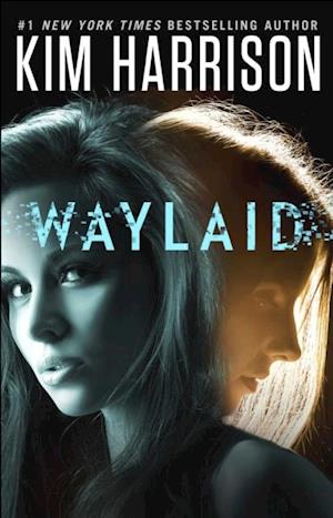 Waylaid