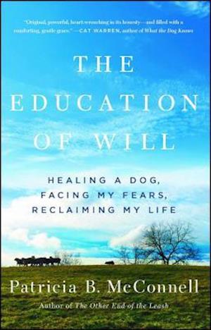 The Education of Will