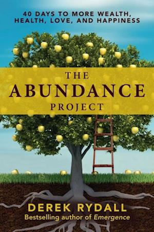 Abundance Project