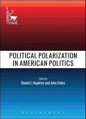 Political Polarization in American Politics