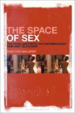 The Space of Sex: The Porn Aesthetic in Contemporary Film and Television 