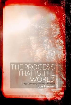 The Process That Is the World