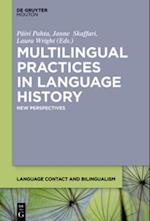 Multilingual Practices in Language History