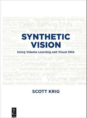 Synthetic Vision