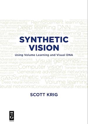 Synthetic Vision