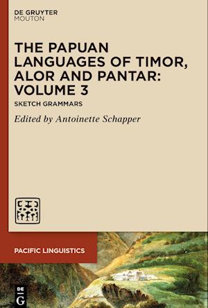 The Papuan Languages of Timor, Alor and Pantar. Volume 3