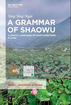 A Grammar of Shaowu