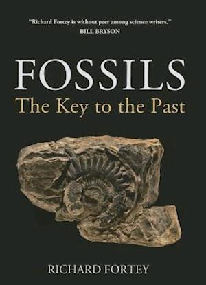 Fossils