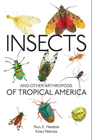 Insects and Other Arthropods of Tropical America