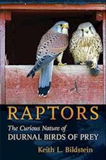 Raptors