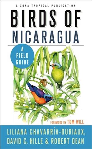 Birds of Nicaragua