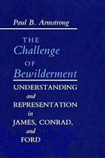 The Challenge of Bewilderment