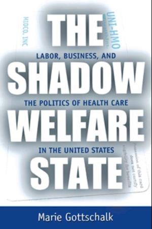 Shadow Welfare State