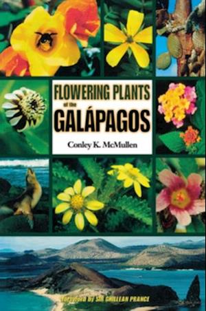 Flowering Plants of the Galapagos