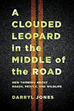 Clouded Leopard in the Middle of the Road