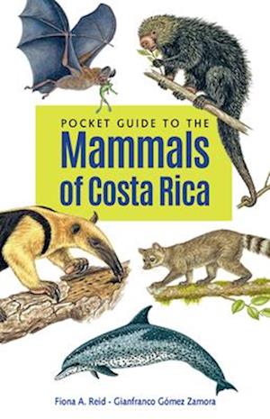 Pocket Guide to the Mammals of Costa Rica