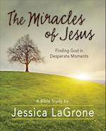 Miracles of Jesus - Women's Bible Study Participant Workbook