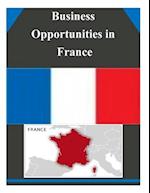 Business Opportunities in France