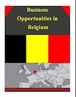 Business Opportunities in Belgium