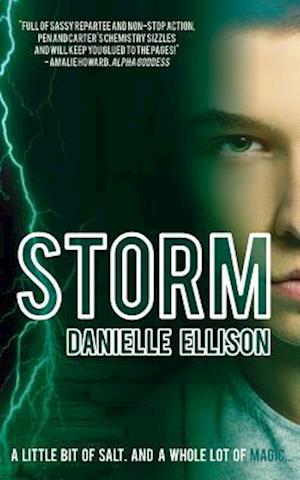 Storm (a Salt Novel)