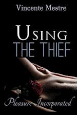 Using the Thief