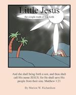 Little Jesus: the simple truth of His birth 