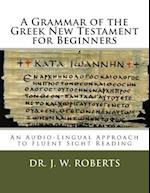 A Grammar of the Greek New Testament for Beginners