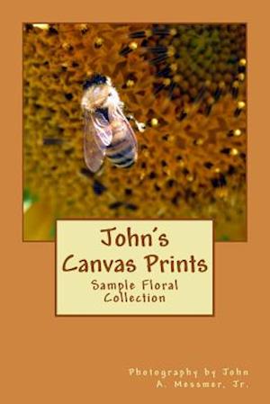 John's Canvas Prints