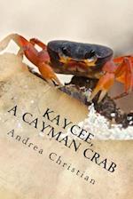 Kaycee, a Cayman Crab