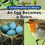 An Egg Becomes a Robin