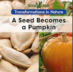 A Seed Becomes a Pumpkin