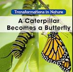 A Caterpillar Becomes a Butterfly