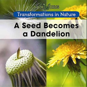 A Seed Becomes a Dandelion