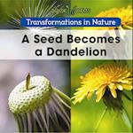 A Seed Becomes a Dandelion